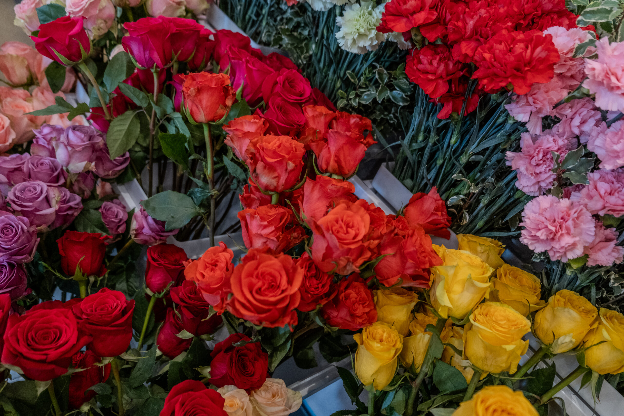 Fresh floral arrangement